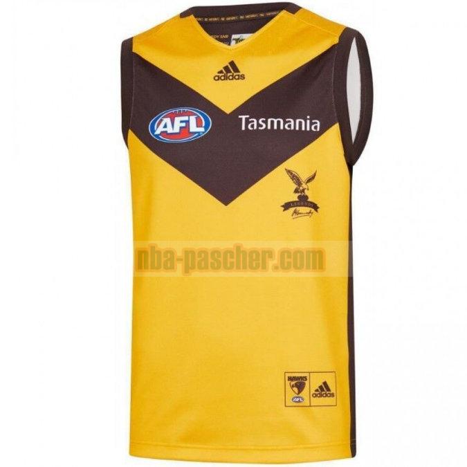 Maillot de foot rugby Hawthorn Hawks 2019 Homme Guernsey