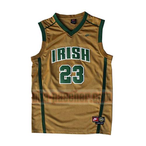 maillot st. vincent-st. mary homme LeBron James 23 d'or